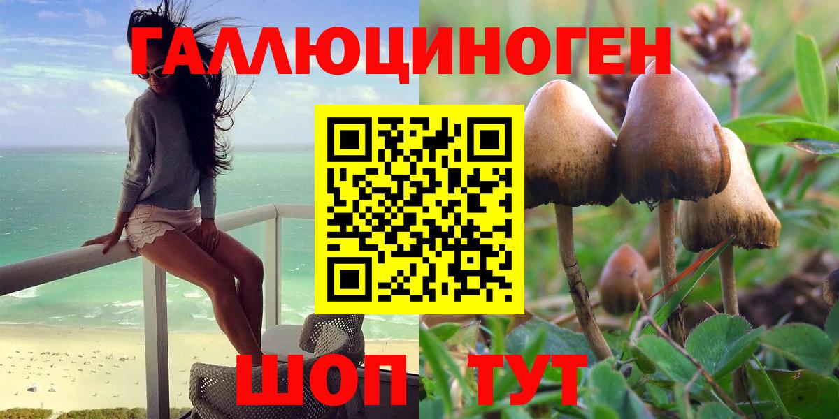 Псилоцибиновые грибы GOLDEN TEACHER  Псилоцибиновые грибы Magic Shrooms  Вход с VPN  Заволжье 