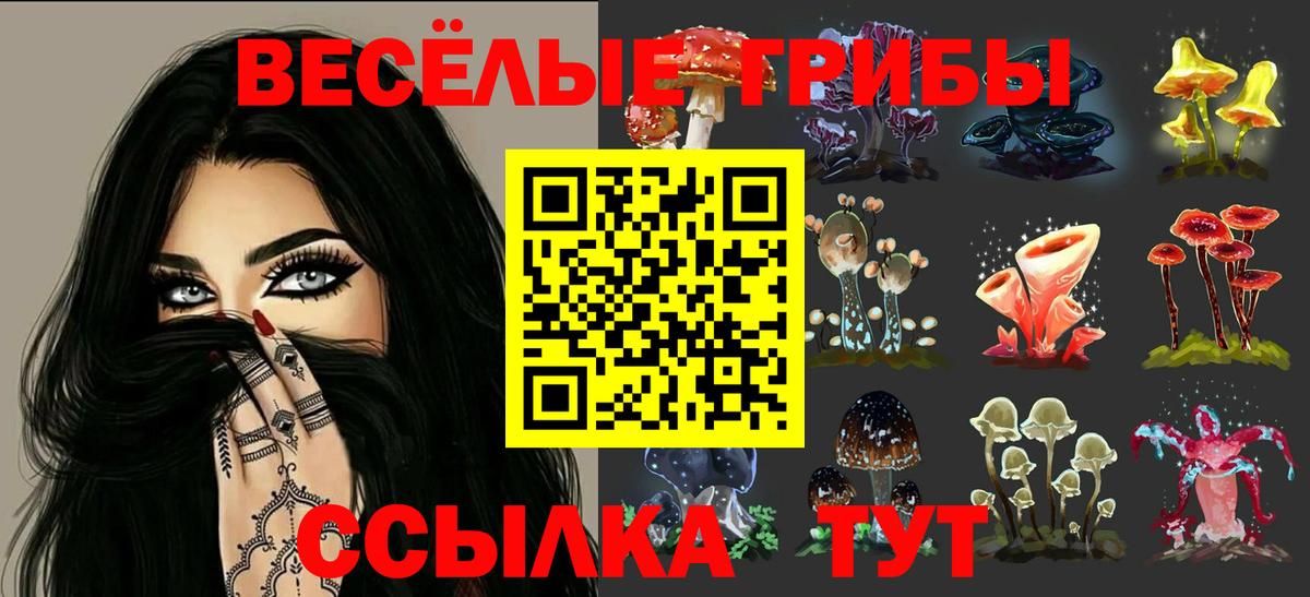 Галлюциногенные грибы мухоморы Заволжье