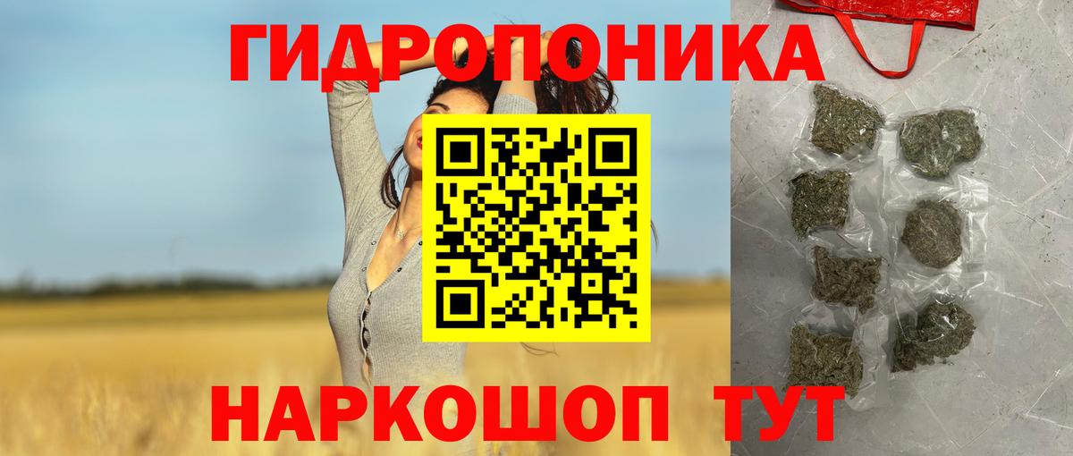 Каннабис планчик  Шишки марихуана OG Kush  Вход с VPN  Заволжье  Бошки Шишки OG Kush 